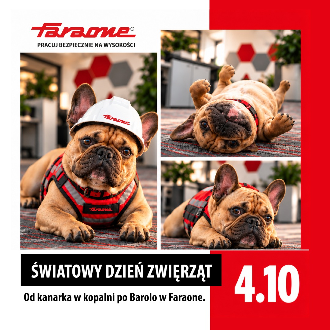 Światowy Dzień Zwierząt